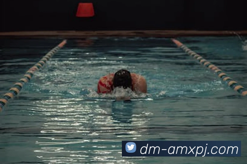 新葡京娱乐平台生态图