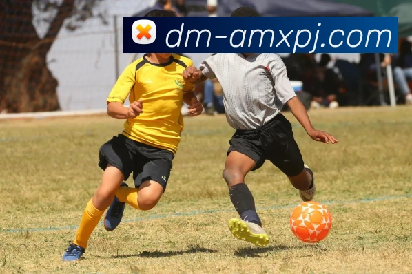 新葡京娱乐全站App 新葡京娱乐全站App