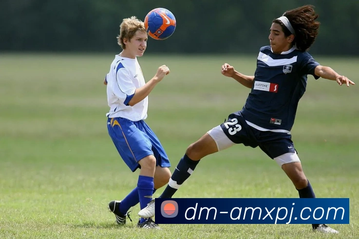 辅助工具 辅助工具